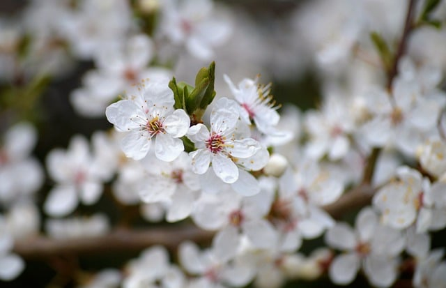 风力发电一天能发多少电一线运维工程师把真实数据摊开说清