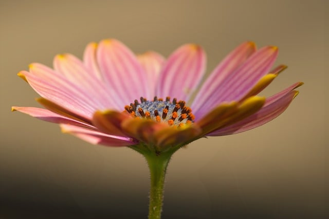 风力发电多少钱一台一位风电项目工程师把真实报价摊开讲清楚