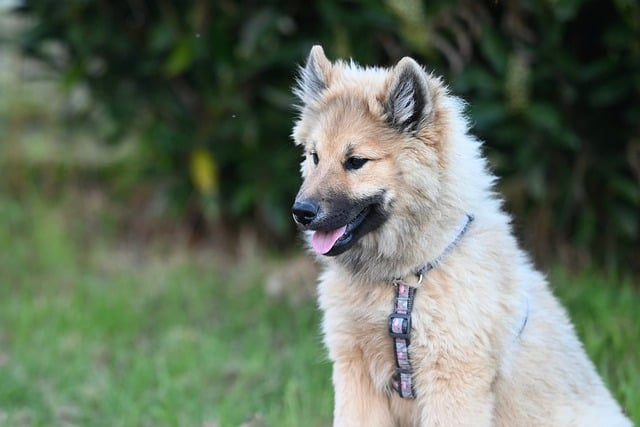 分布式发电,正在悄悄改变你的电费和小区 分布式发电,正在悄悄改变你的电费和小区