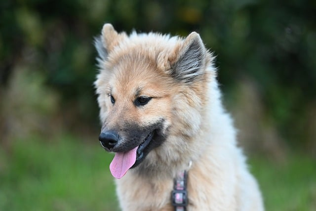 后悔没早装从业6年，我眼中的户用储能真相与机会