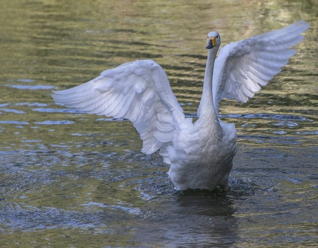 从电厂到交易员：绿电指标如何交易，正在悄悄改写电力江湖