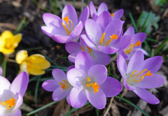 一年操盘上百万绿证,我把真实的绿电交易流程摊开讲给你听 一年操盘上百万绿证,我把真实的绿电交易流程摊开讲给你听