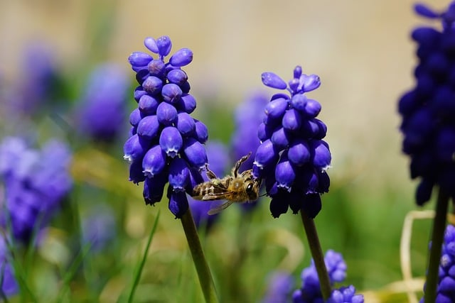 抓住“绿电市场化交易”的窗口期：一名能源机构顾问的实战笔记