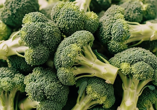 站在机房与沙漠之间,我看见的“能源双碳发展”真相 站在机房与沙漠之间,我看见的“能源双碳发展”真相