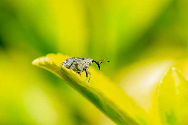 穿过资本与噱头，看见真实的“储能科学与技术”一线工程师的冷静拆解