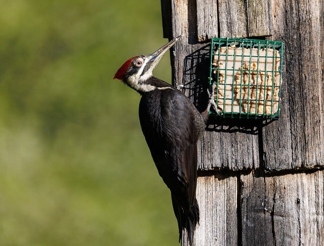 风力发电多高一位风电场工程师的真实高度笔记